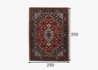 Vaip Theko Royal Persian, 250x350 cm цена и информация | Vaibad | hansapost.ee