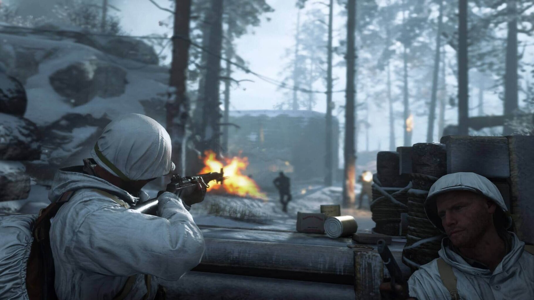 Call of Duty: WW II PS4 hind ja info | Konsooli- ja arvutimängud | hansapost.ee