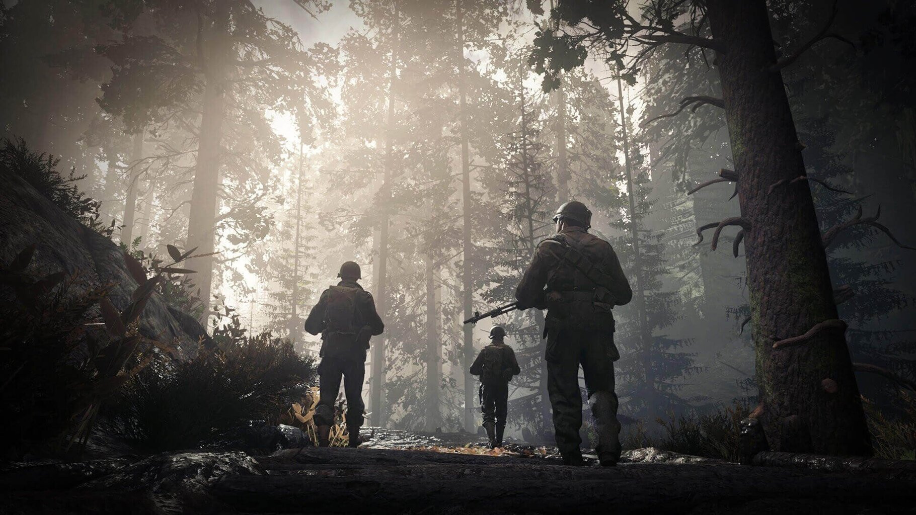 Call of Duty: WW II PS4 hind ja info | Konsooli- ja arvutimängud | hansapost.ee