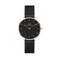 Daniel Wellington Classic Petite naiste käekell цена и информация | Käekellad naistele | hansapost.ee