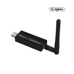 USB-ключ ZBDongle-P Zigbee 3.0 USB Dongle Plus цена и информация | Системы безопасности, контроллеры | hansapost.ee