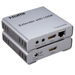 HDMI расширитель до 100 м, 4K цена и информация | Кабели и провода | hansapost.ee