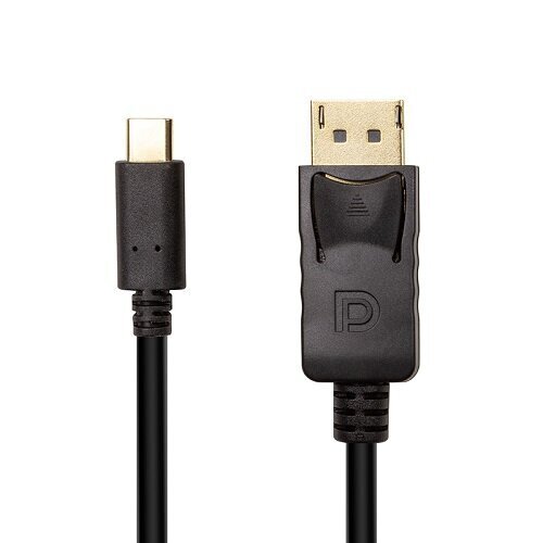 Kaabel USB C 3.1 Thunderbolt 3 - DisplayPort, 4K, 3m цена и информация | Lisatarvikud videokaameratele | hansapost.ee