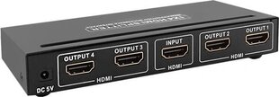 Qoltec Active splitter HDMI 1.3B | 1x4 цена и информация | Адаптеры и USB-hub | hansapost.ee