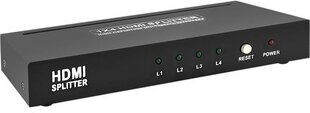 Qoltec Active splitter HDMI 1.3B | 1x4 цена и информация | Адаптеры и USB-hub | hansapost.ee