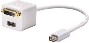 Lindy 41003, DVI Mini/DVI-D/HDMI, 20 см цена и информация | Кабели и провода | hansapost.ee