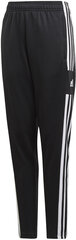 Püksid Adidas SQ21 Tr Pnt Y Black GK9553/164 hind ja info | Adidas Riided, jalanõud lastele ja beebidele | hansapost.ee