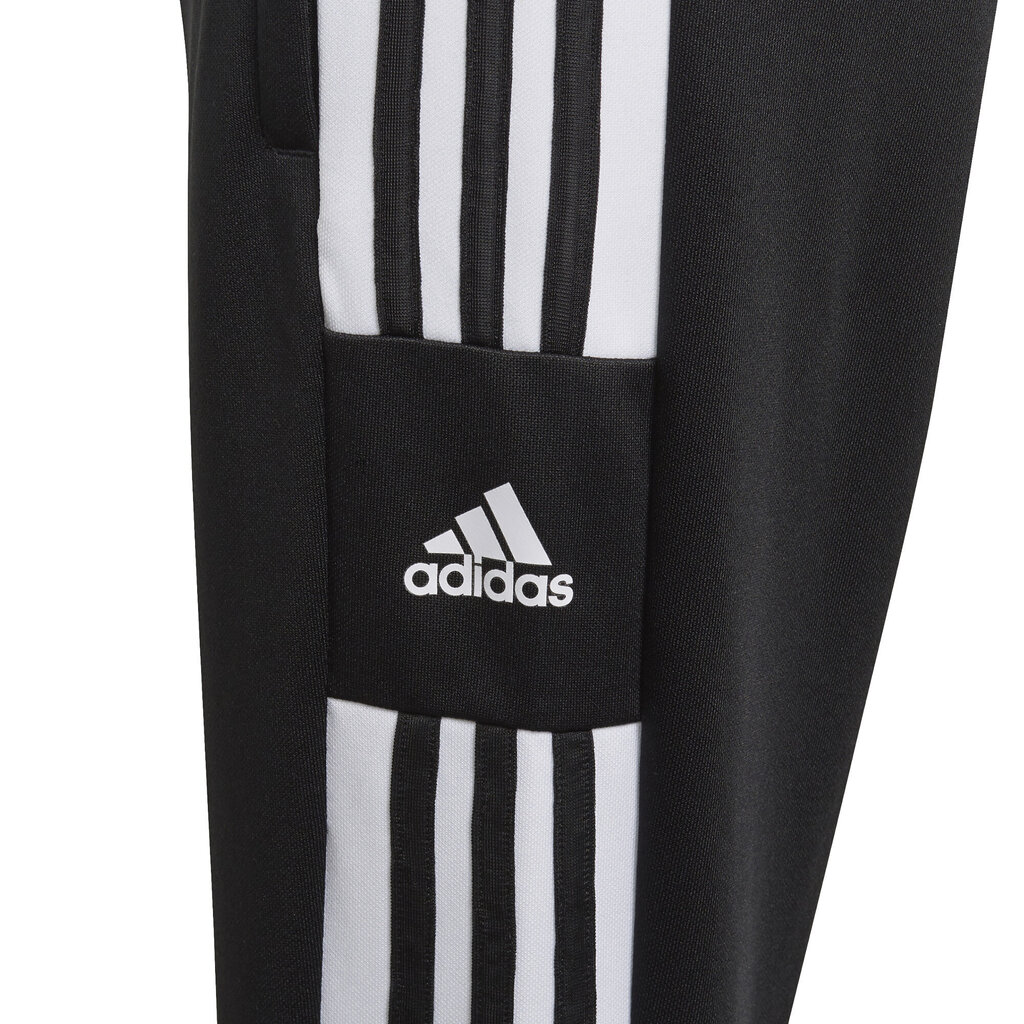 Püksid Adidas SQ21 Tr Pnt Y Black GK9553/164 цена и информация | Püksid poistele | hansapost.ee