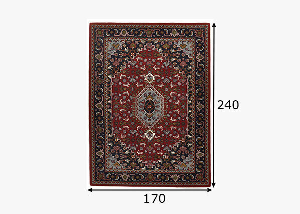Vaip Theko Royal Persian 170x240 cm hind ja info | Vaibad | hansapost.ee