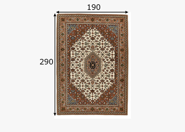 Vaip Theko Royal Persian 190x290 cm цена и информация | Vaibad | hansapost.ee