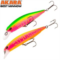 Vobler Akara Best Minnow 100SP A207/161 цена и информация | Воблеры, приманки, блесны | hansapost.ee