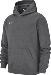 Poiste dressipluus Nike Team Club 19 Fleece Hoodie PO 128 cm (AJ1544 071) цена и информация | Свитеры, жилетки, пиджаки для мальчиков | hansapost.ee