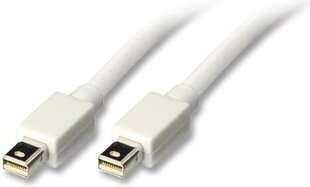 Kaabel Lindy DisplayPort Mini - DisplayPort Mini 1.5 m цена и информация | Кабели и провода | hansapost.ee