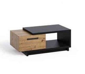 Кофейный столик BSL Concept Ines, 120x60x40 см, черный/коричневый цвет цена и информация | Журнальные столики | hansapost.ee