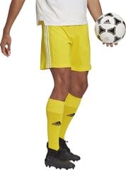 Мужские шорты Adidas Squadra 21 GN5772, желтый, S цена и информация | Футбольная форма и другие товары | hansapost.ee