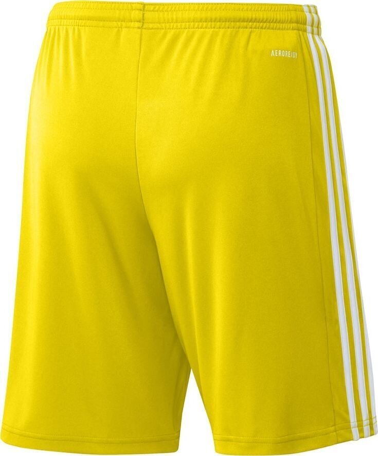 Meeste lühikesed püksid adidas Squadra 21 GN5772, kollane, S hind ja info | Jalgpalli varustus ja riided | hansapost.ee