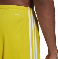 Мужские шорты Adidas Squadra 21 GN5772, желтый, S цена и информация | Футбольная форма и другие товары | hansapost.ee