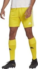 Meeste lühikesed püksid adidas Squadra 21 GN5772, kollane, XXL hind ja info | Jalgpalli varustus ja riided | hansapost.ee