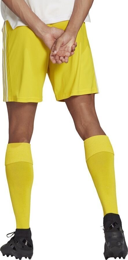 Meeste lühikesed püksid adidas Squadra 21 GN5772, kollane, XXL hind ja info | Jalgpalli varustus ja riided | hansapost.ee