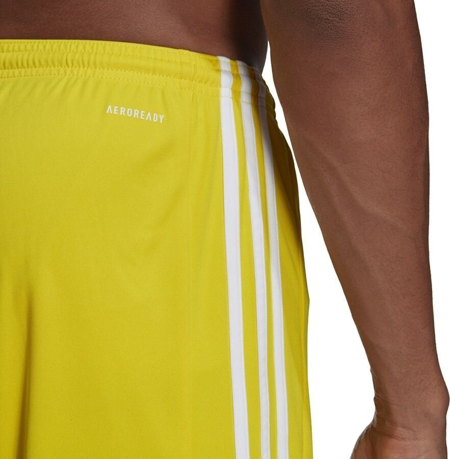 Meeste lühikesed püksid adidas Squadra 21 GN5772, kollane, XXL hind ja info | Jalgpalli varustus ja riided | hansapost.ee