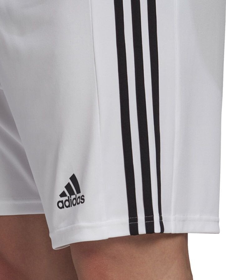 Meeste lühikesed püksid adidas Squadra 21 GN5773, valge hind ja info | Jalgpalli varustus ja riided | hansapost.ee