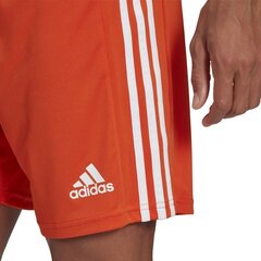 Meeste lühikesed püksid adidas Squadra 21 GN8084, oranž, L hind ja info | Jalgpalli varustus ja riided | hansapost.ee