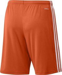 Meeste lühikesed püksid adidas Squadra 21 GN8084, oranž, XL hind ja info | Jalgpalli varustus ja riided | hansapost.ee