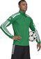Meeste dressipluus Adidas Squadra 21 GP6473, roheline hind ja info | Jalgpalli varustus ja riided | hansapost.ee