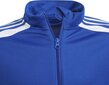 Lastekook Adidas Squadra 21 sinine GP6457 цена и информация | Jalgpalli varustus ja riided | hansapost.ee