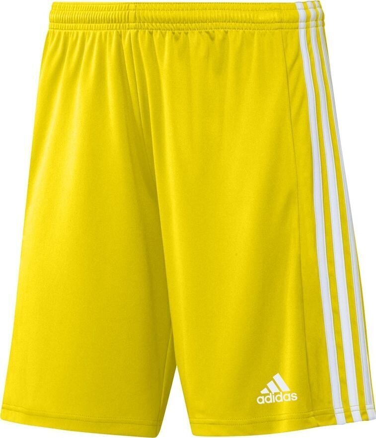 Meeste lühikesed püksid adidas Squadra 21 GN5772, kollane, L hind ja info | Jalgpalli varustus ja riided | hansapost.ee