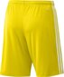 Meeste lühikesed püksid adidas Squadra 21 GN5772, kollane, M hind ja info | Jalgpalli varustus ja riided | hansapost.ee