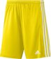 Meeste lühikesed püksid adidas Squadra 21 GN5772, kollane, XL hind ja info | Jalgpalli varustus ja riided | hansapost.ee