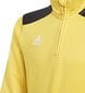 Laste särk adidas Regista 18 Junior DJ1841, kollane hind ja info | Jalgpalli varustus ja riided | hansapost.ee