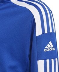 Laste dressipluus Adidas Squadra 21, sinine GP6457 hind ja info | Jalgpalli varustus ja riided | hansapost.ee