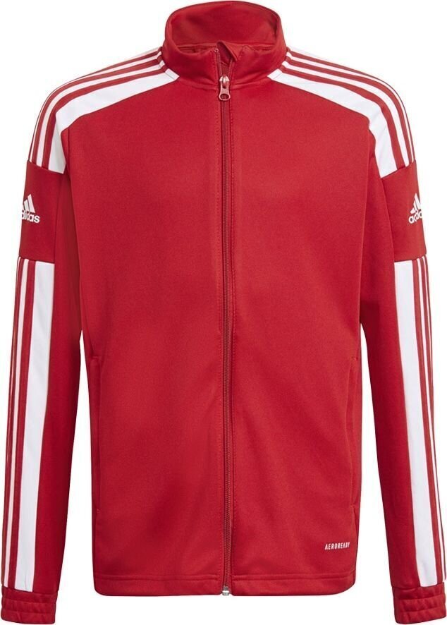 Laste dressipluus Adidas Squadra 21, punane GP6458, 140 cm цена и информация | Jalgpalli varustus ja riided | hansapost.ee