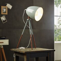 Eglo настольная лампа Dundee 49337 цена и информация | vidaXL Освещение | hansapost.ee