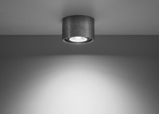 Потолочный светильник Sollux Basic 1 цена и информация | Потолочные светильники | hansapost.ee