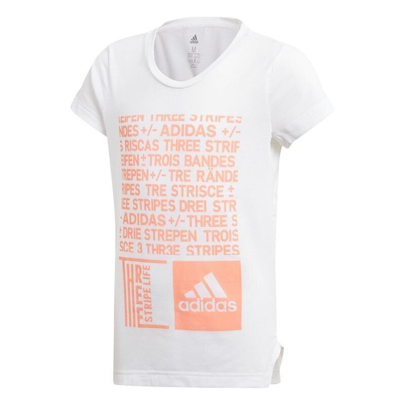 Sportlik T-särk poistele Adidas YG TR Graph Tee Junior DJ1061 цена и информация | Särgid poistele | hansapost.ee