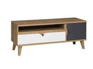 ТВ столик BSL Concept Memone, 120x40x48 см, коричневый цена и информация | BSL Concept Мебель для гостиной | hansapost.ee