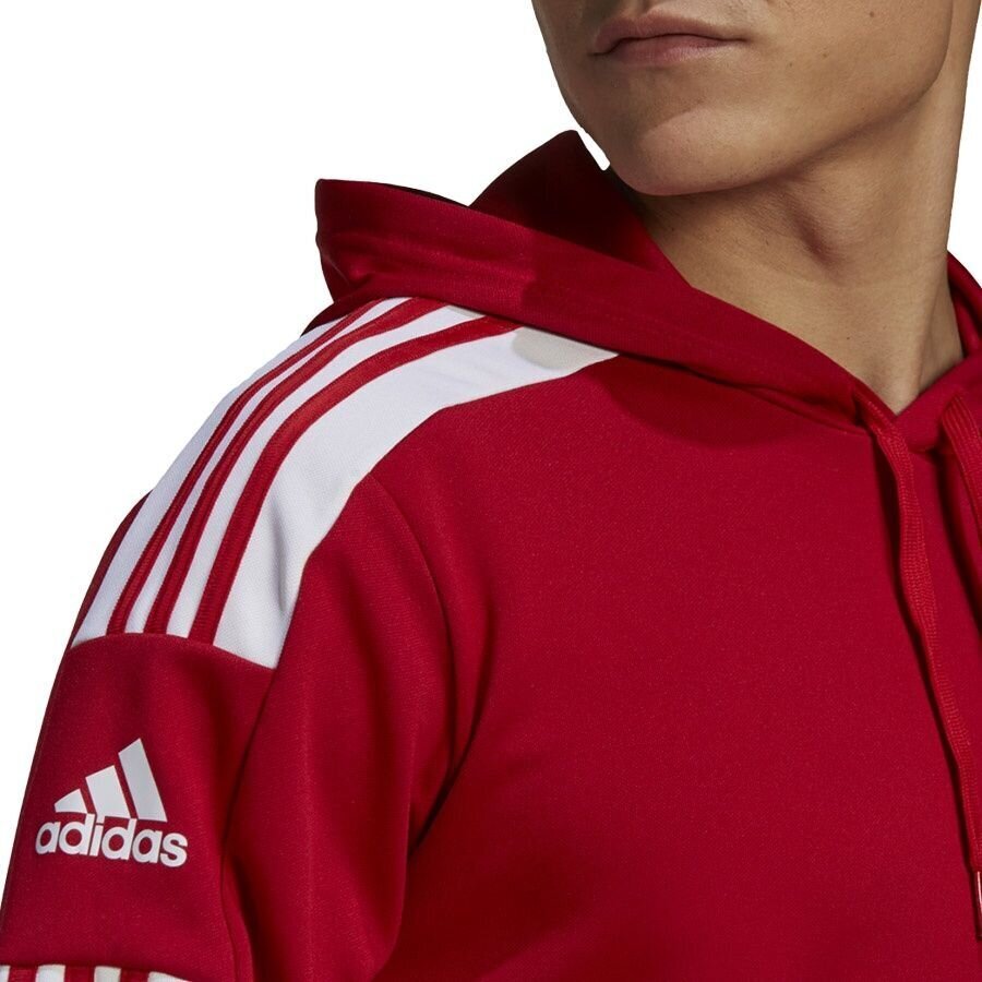 Meeste dressipluus Adidas Squadra 21 punane GP6435 XL hind ja info | Jalgpalli varustus ja riided | hansapost.ee