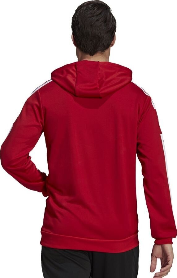 Meeste dressipluus Adidas Squadra 21 punane GP6435 XL hind ja info | Jalgpalli varustus ja riided | hansapost.ee