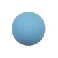 Cheerble Ball W1 SE Interactive Pet Ball цена и информация | Koerte mänguasjad | hansapost.ee
