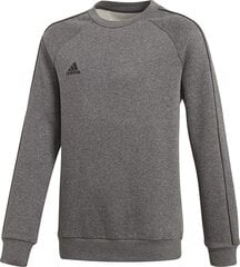 Laste kampsun Adidas Core 18 CV3969, hall цена и информация | Свитеры, жилетки, пиджаки для мальчиков | hansapost.ee