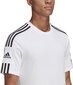 Meeste T-särk Adidas Squadra 21 GN5726, valge hind ja info | Jalgpalli varustus ja riided | hansapost.ee
