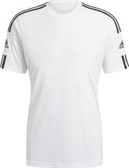 Meeste T-särk Adidas Squadra 21 GN5726, valge hind ja info | Jalgpalli varustus ja riided | hansapost.ee