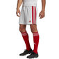Meeste lühikesed püksid Adidas Squadra 21 GN5770, valge/punane цена и информация | Jalgpalli varustus ja riided | hansapost.ee
