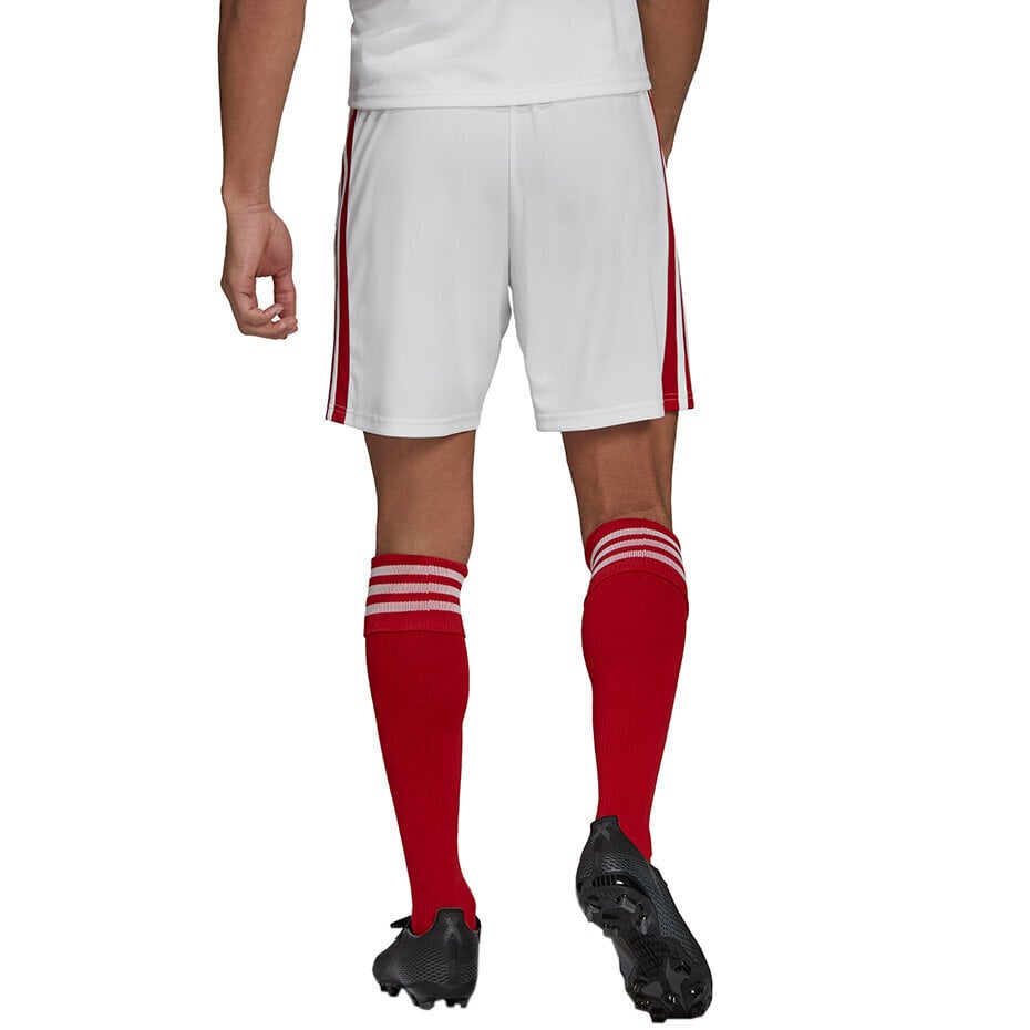 Meeste lühikesed püksid Adidas Squadra 21 GN5770, valge/punane hind ja info | Jalgpalli varustus ja riided | hansapost.ee