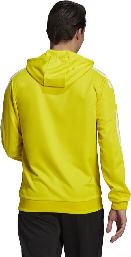 Meeste dressipluus Adidas Squadra 21 GP6438, kollane hind ja info | Jalgpalli varustus ja riided | hansapost.ee