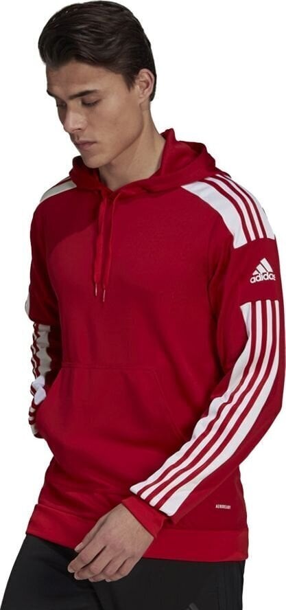 Meeste dressipluus Adidas Squadra 21 punane GP6435 L hind ja info | Jalgpalli varustus ja riided | hansapost.ee