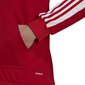 Meeste dressipluus Adidas Squadra 21 punane GP6435 L цена и информация | Jalgpalli varustus ja riided | hansapost.ee